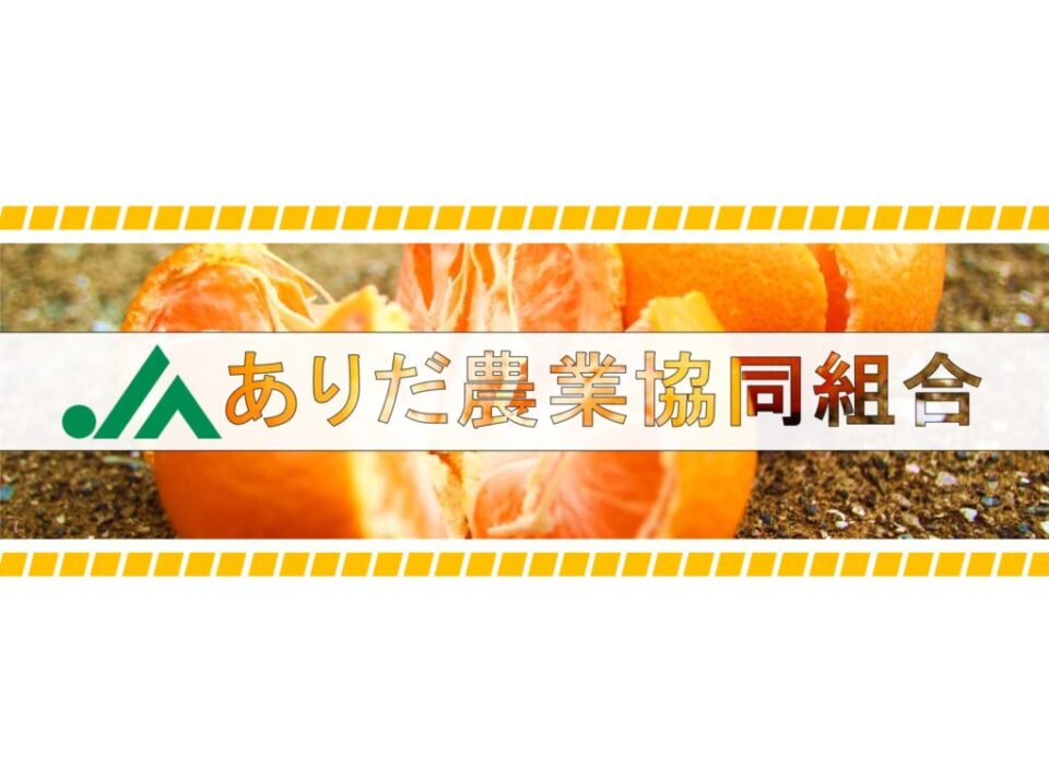 令和6年産有田みかん販売反省会